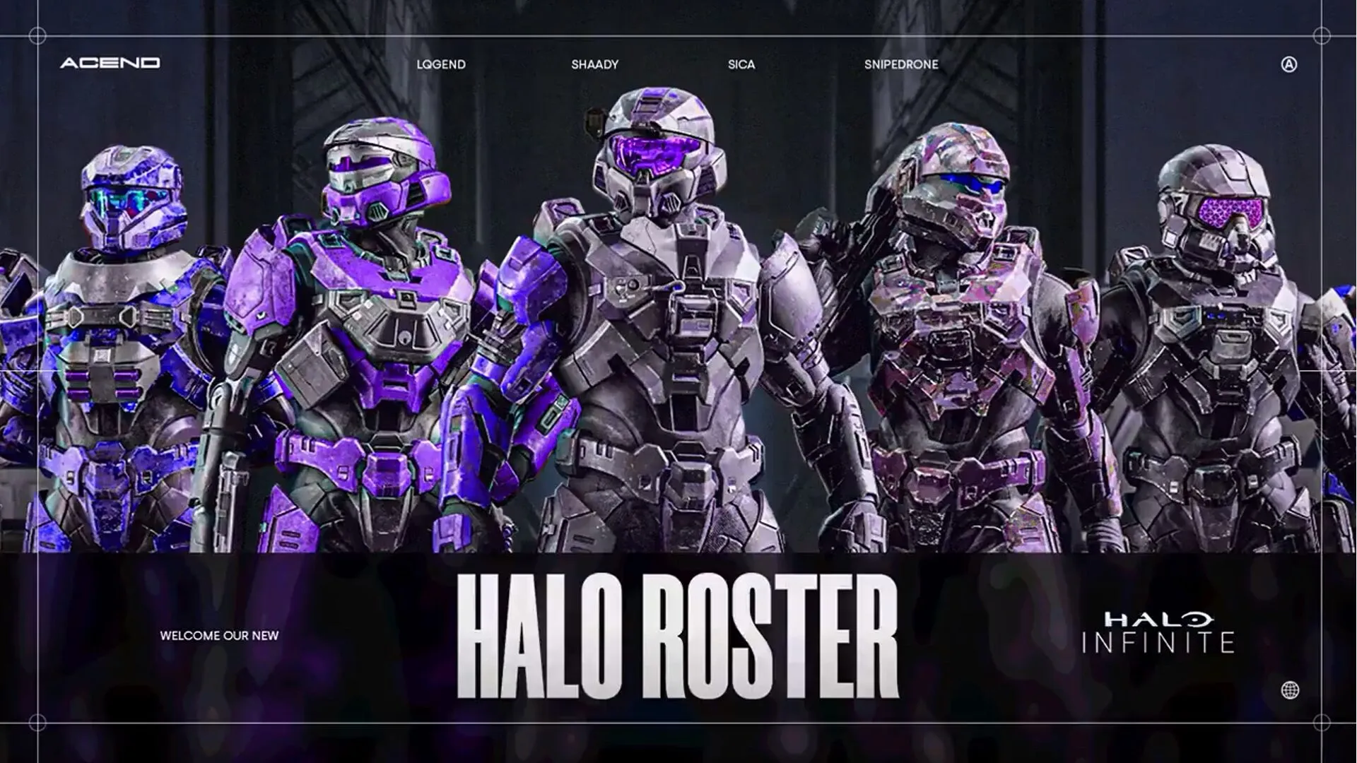Acend Halo preview